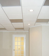 Basement Ceiling Tiles for a project we worked on in Gloversville, New York