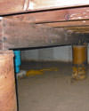Mold and rot thriving in a dirt floor crawl space in Schenectady