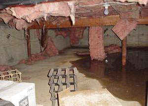 Fiberglass dripping off of the ceilings of a Cohoes crawl space
