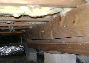 A sagging crawl space with concrete supports and wooden shimming a Gansevoort crawl space