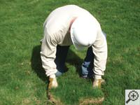 Restoring the landscaping by replacing removed sod on the ground for a Queensbury home.
