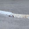 Slab floor cracks showing in a Ballston Spa home