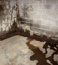 Water seeping through a concrete wall in a Averill Park basement