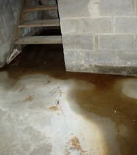 Flooding floor cracks by a hatchway door in Catskill