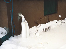 IceGuard® Installed Saratoga Springs